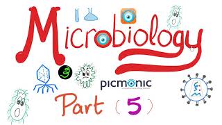 Microbiology  Bacillus anthracis Bacillus cereus Mycobacteria TB Leprosy  Picmonic  Part 5 [upl. by Suryc]