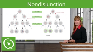 Nondisjunction Chromosomal Disorders amp Aneuploidies – Medical Genetics  Lecturio [upl. by Ogden52]