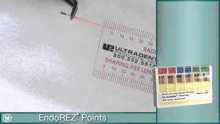 Root Canal Obturation using EndoEze EndoREZ from Ultradent [upl. by Bresee]