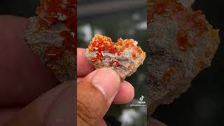 Red wulfenite from China mineral minerals crystals gemstone [upl. by Anwahsak]