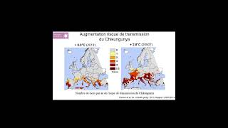 Les maladies vectorielles le Chikungunya [upl. by Latt]