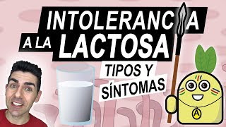 INTOLERANCIA A LA LACTOSA  Tipos y síntomas de un intolerante a la lactosa  ¿Qué es la lactasa [upl. by Nnylkoorb]