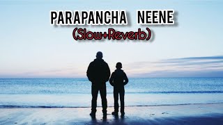 PARAPANCHA NEENE  SlowReverb   bahaddurali [upl. by Leahcimauhsoj912]