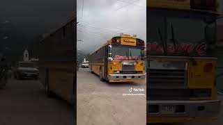 La Bebesita BUSES DE HONDURAS 🇭🇳💨💥 [upl. by Icaj]