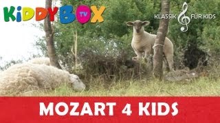 Mozart Bach Chopin  Klassik für Kinder  Entspannung in der Natur KIDDYBOXTV [upl. by Joyce]