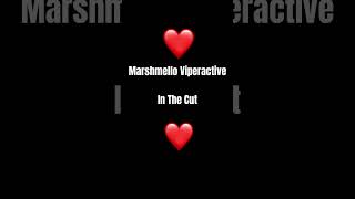 Marshmello and Viperactives latest release In The Cut is out now Show them some love❤️ [upl. by Bitthia827]