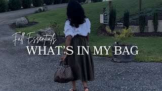 Whats In My Bag  Fall Bag Essentials 2024  Louis Vuitton Speedy 30 [upl. by Cleodal]