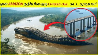 அமேசான் நதிக்கு மேல் பாலம் கட்டாததற்கு இதுதான் காரணம்│Why is there no bridge over the Amazon River [upl. by Kamillah]