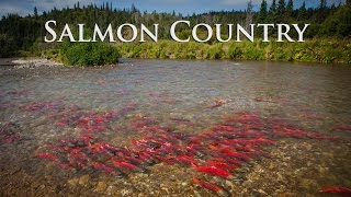 Alaska Salmon Country  Sockeye City [upl. by Hannavahs922]