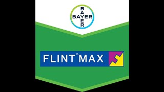 Flint® Max 75 WG Fungicid pentru combaterea făinării și putregaiului negru la vița de vie [upl. by Hiller498]