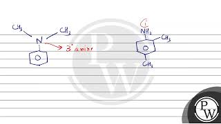 A positive carbylamine test is given by [upl. by Rodrigo928]