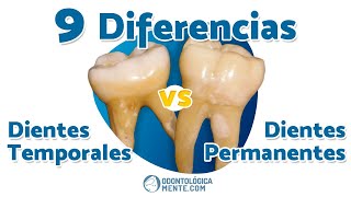 ► 9 Diferencias entre dientes 🦷 temporales y permanentes [upl. by Tiffy]