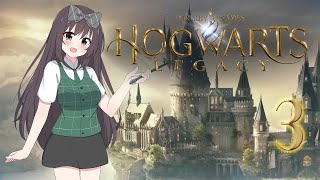 Hogwarts Legacy  part 3 [upl. by Anerb]