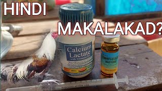 Hindi makalakad na manok anong gamot Part 1 AgriChefTV [upl. by Aryek455]