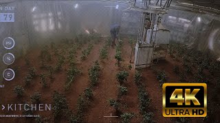 Martian Grown Potatoes 4K Scene [upl. by Oriole]