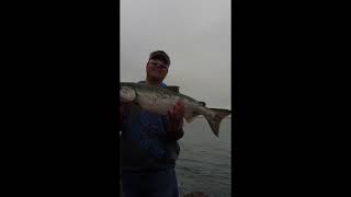 Barview Jetty Chinook Salmon Fishing in Oregon [upl. by Aicinat]