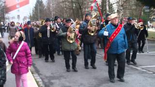 Dechovka Živaňanka na masopustu v Pardubicích 2015 [upl. by Gnap]