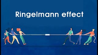 Short Story Ringelmann effect  The reason why social loafing occurs in the organization [upl. by Colis714]