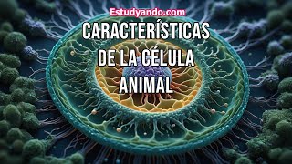 Características de la Célula Animal [upl. by Schober]