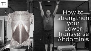 How to stregthen your Lower Transverse Abdominis [upl. by Aihsekat]