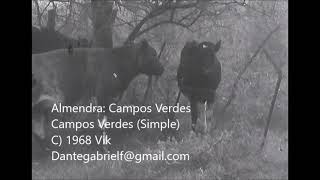 Almendra  Campos Verdes Videoclip [upl. by Joris]