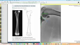 Planning TPLO Osirix Chien 35 kg [upl. by Patrica]