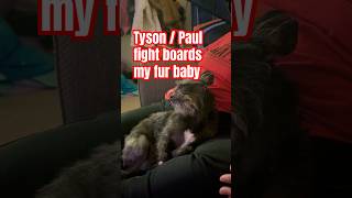 Onyx is bored pov fightnight miketyson jakepaul amandaserrano katietaylor furbabie furmom [upl. by Animas]