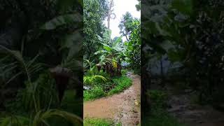 travelvlog travelsongs tamiltravelvlogger tamiltravelvideo malayalamtravelvlogs travelmusic [upl. by Bil99]