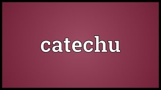 Catechu Meaning [upl. by Enilesor]