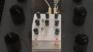 Pladask Elektrisk Fabrikat delay pedal with Agile Legacy 627 baritone guitar sad riff [upl. by Asylem562]