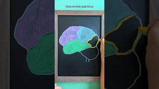 Brain Lobes NCLEX Review [upl. by Siva]