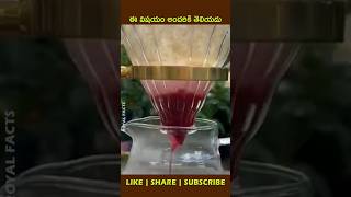 Armenian cochinealytshorts factsintelugu viralvideo shortsvideo [upl. by Adolfo]