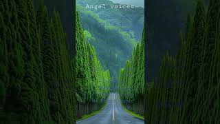 angel voicesgrowhamdwith beautiful information [upl. by Hanyaz]