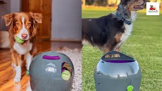 Best Automatic Ball Launcher Machine for Dogs  PetSafe Automatic Ball Launcher Review [upl. by Lozar236]