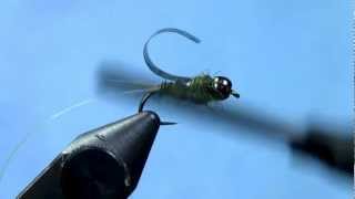 Fly Tying with Hans Barrs Tungteaser Nymph [upl. by Cato]