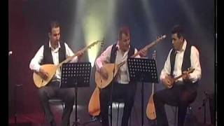 Turkish Folk Music Telli Turnam [upl. by Carolan]