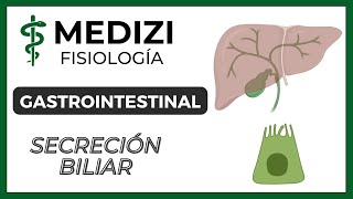 Clase 51 Fisiología Gastrointestinal  Secreción Biliar IGdoctorpaiva [upl. by Romanas]