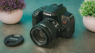 Best Beginner Cameras in 2024 [upl. by Yentroc]