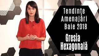 Tendinte Amenajari Baie 2018 – Gresia Hexagonala [upl. by Roumell23]