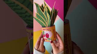 DIY 3D plant pot pop up greeting cardpopupcarddiycardthankyoucards [upl. by Aihsenor]