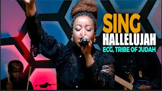 SING HALLELUYAH  ECG TRIBE OF JUDAH [upl. by Jaquenetta]