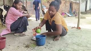 angli larki pedh 🌲 chadh gyi amrud thorne ke liye fruit treegirl group full video 😀 [upl. by Weide77]