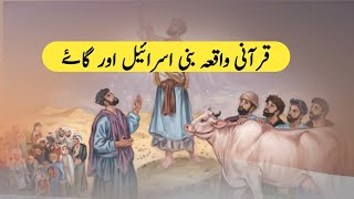 Cow and bneisrael  Islamic stories islamicvideoگاۓ اور بنی اسرائیل [upl. by Aititil582]