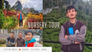 Visiting Maple Garden 🍁 Tea Estate Takda🌱  Landscaping Ideas amp Outdoor plants vlog 70 [upl. by Nnaassilem]