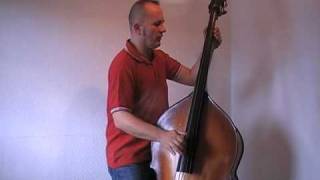 The Art of Slap Bass Presents DIDI BECK [upl. by Hgieliak145]