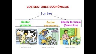 Sectores económicos [upl. by Callum72]