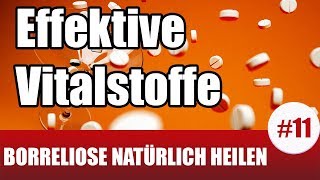 Borreliose heilen  Diese VitalstoffeNEM töten Borrelien ab Borreliose Behandlung natürlich 11 [upl. by Nlycaj]