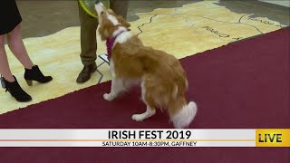 Support Cherokee Co Humane Society at Mutts Gone Nuts and checkout Irish fest this weekend [upl. by Eciened]