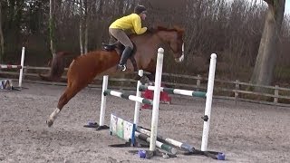 Eventing Clinic with Francis Whittington [upl. by Ancell]