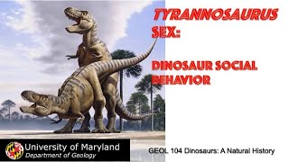 Lecture 30 Tyrannosaurus Sex Dinosaur Social Behavior [upl. by Oalsinatse]